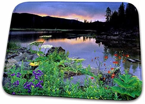 3дРоуз, щата Орегон, езерото Спаркс, Изгрев, Диви цветя - 38 долара... - Постелки за баня (rug-94033-1)