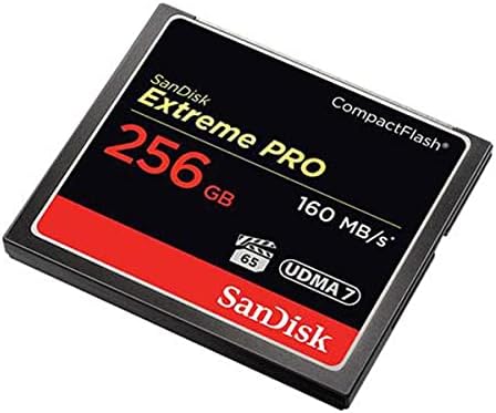 SanDisk Extreme Pro 256 GB е Компактен флаш памет